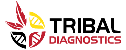 Tribal Diagnostic's Logo